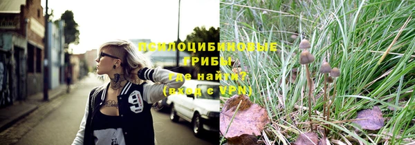 марки lsd Инта
