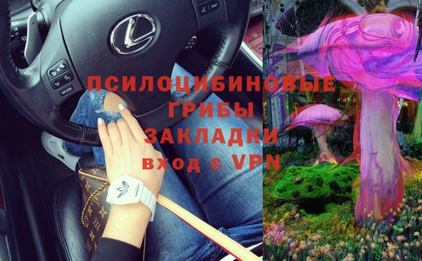 марки lsd Инта