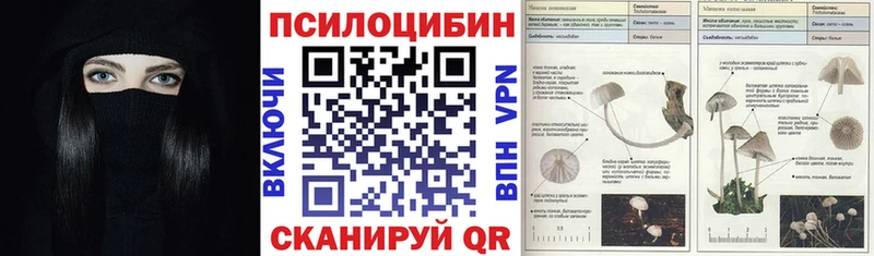 Купить  Заозёрный  Псилоцибиновые грибы Psilocybine cubensis 